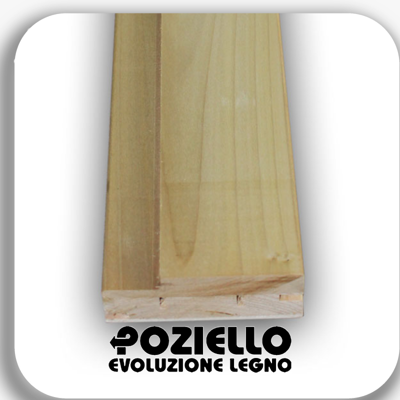 stipite toulipier mass. cm 11 poplar liscio